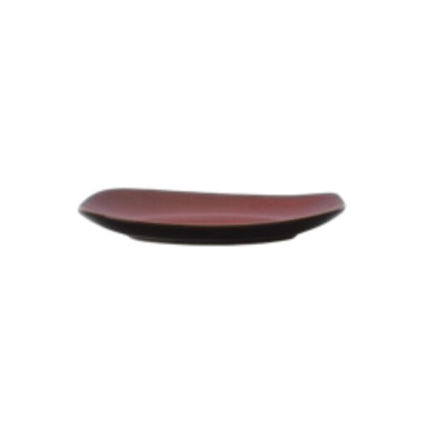 Luzerne - Rustic Accessory Dish 2