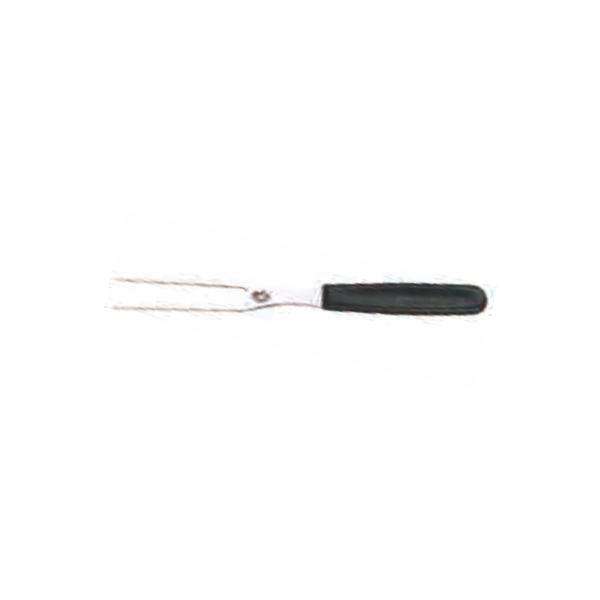 TA - S/S Catering/Carving Fork Nylon Handle