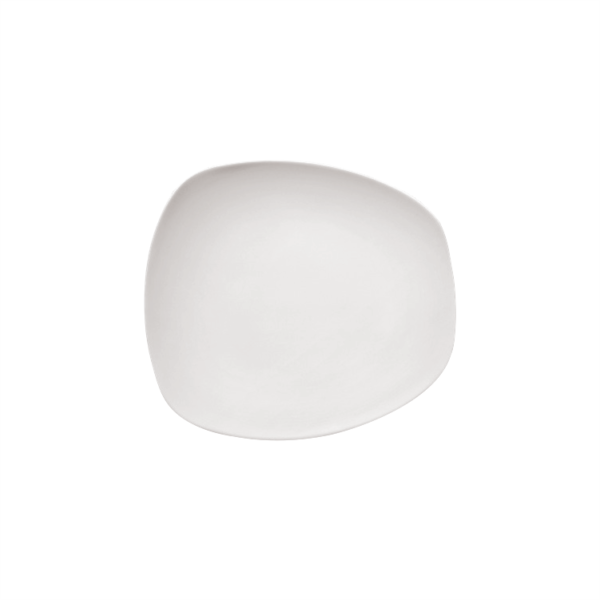 Luzerne - Whiteware Evolution Plate 2