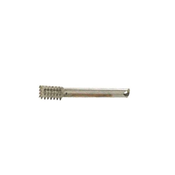 TA - S/S Fish Scaler