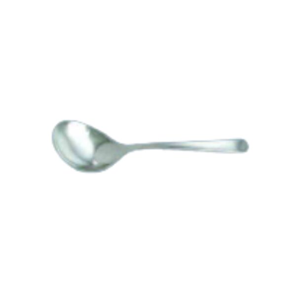 Royal Steel - Serving Spoon 215mm/ 71g